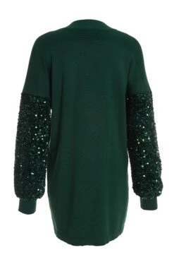 Bottle Green Embellished Jumper 12 Bottle Green Embellished Jumper -Chic Summer Shop 00100035931 ZB