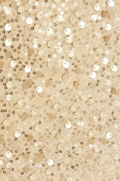 Gold Sequin Mini Skirt 13 Gold Sequin Mini Skirt -Chic Summer Shop 00100036035 ZS