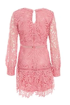 Pink Lace Skater Dress -Chic Summer Shop 00100037467 ZB
