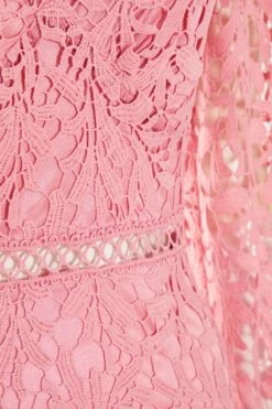 Pink Lace Skater Dress -Chic Summer Shop 00100037467 ZS