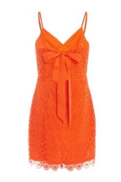 Orange Embroidered Tie Back Mini Dress -Chic Summer Shop 00100038242 ZB