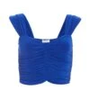 Royal Blue Ruched Crop Top -Chic Summer Shop 00100038262 ZM
